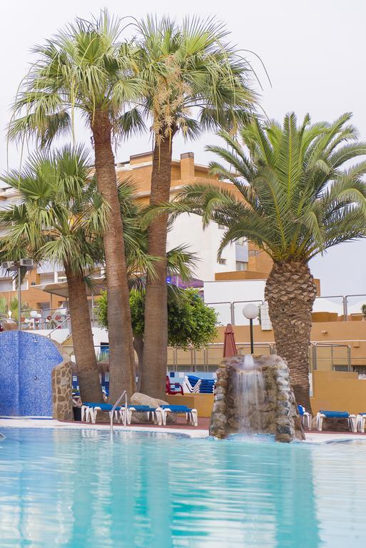 Apartamentos Fenix Beach روكيتاس ذي مار المظهر الخارجي الصورة